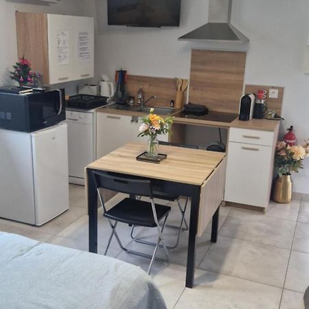 Studio Plein Sud Au Calme Montauban Zewnętrze zdjęcie