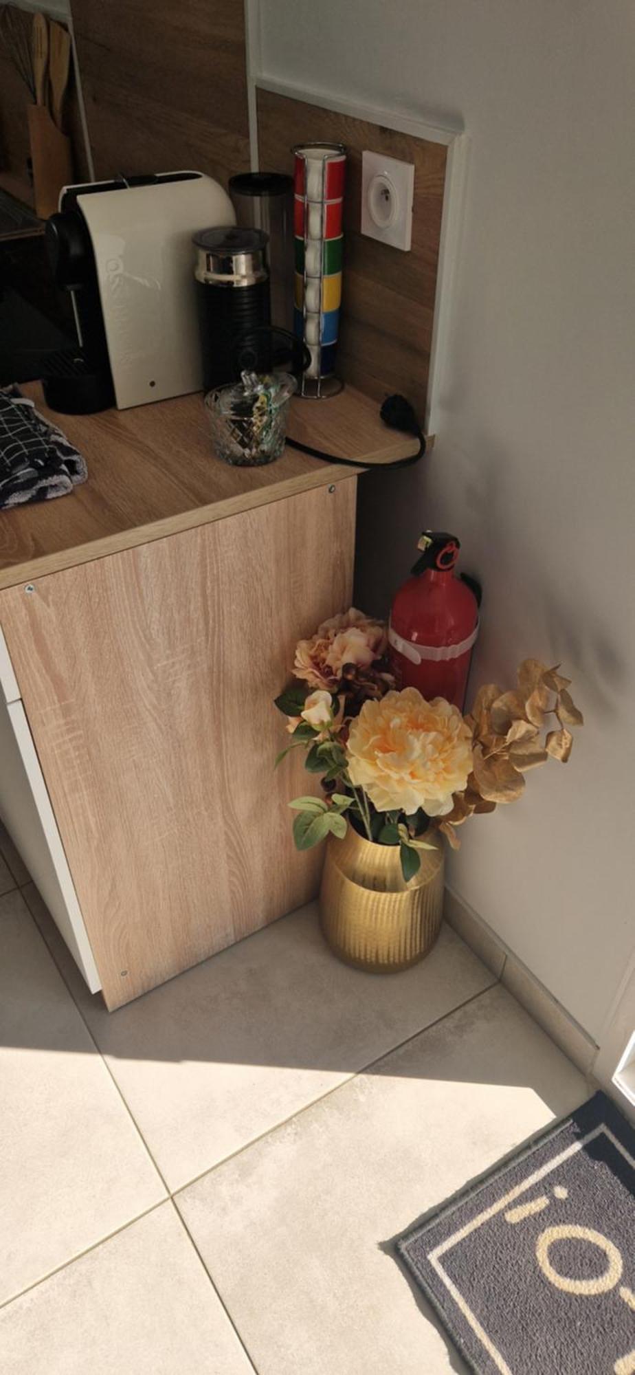 Studio Plein Sud Au Calme Montauban Zewnętrze zdjęcie